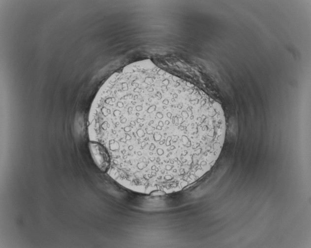 X0000113080335200909250954