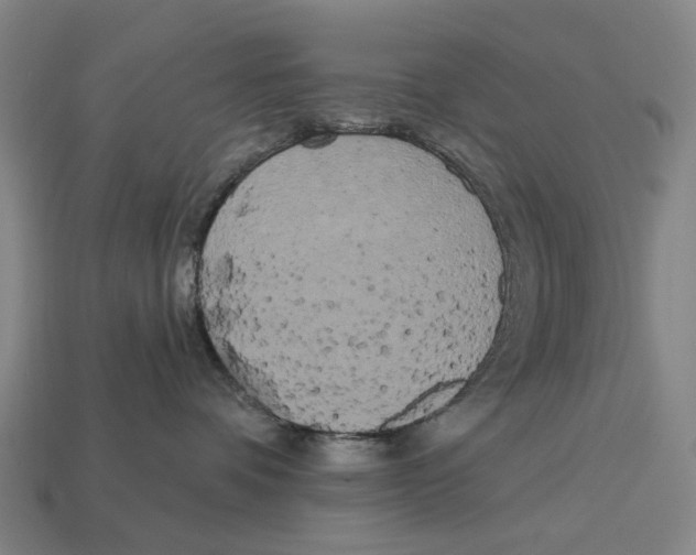 X0000113080336200909250954