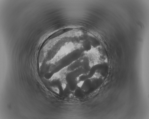 X0000113080337200909250954