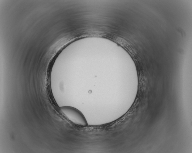 X0000113080338200909250954