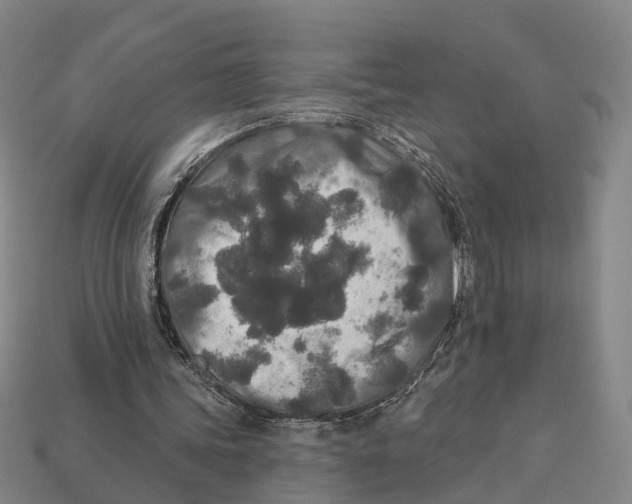 X0000113080339200909250954