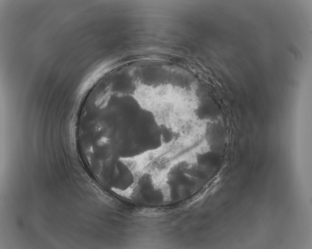 X0000113080341200909250954