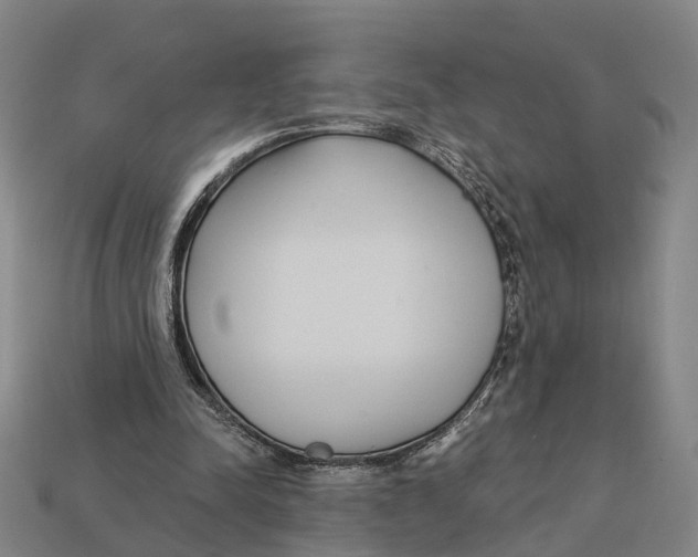 X0000113080342200909250954