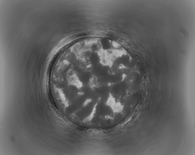 X0000113080343200909250954