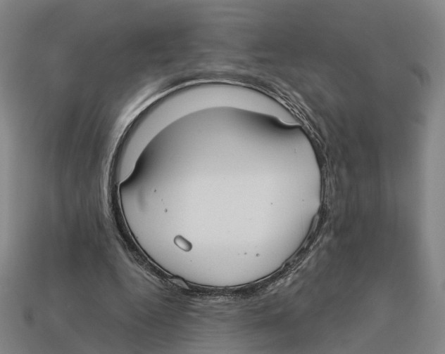 X0000113080344200909250954