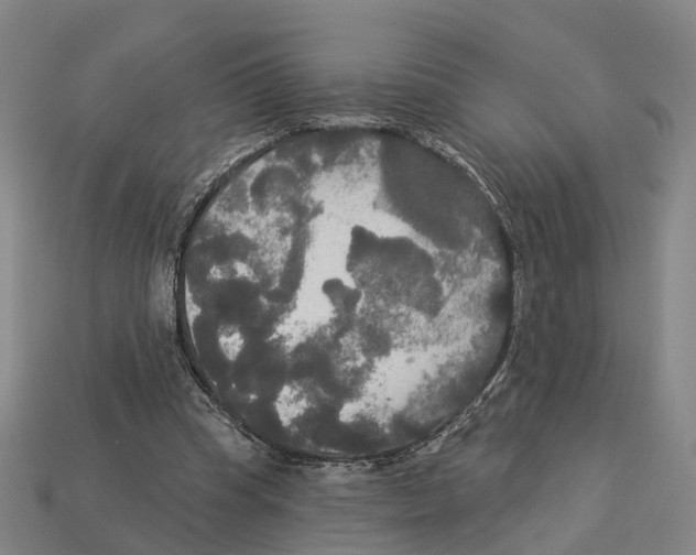 X0000113080345200909250954