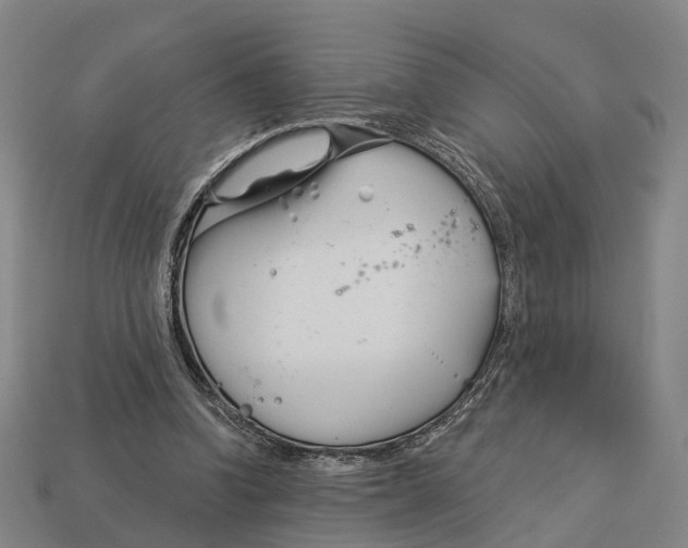 X0000113080346200909250954