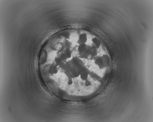 X0000113080347200909250954