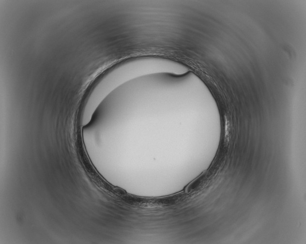 X0000113080348200909250954