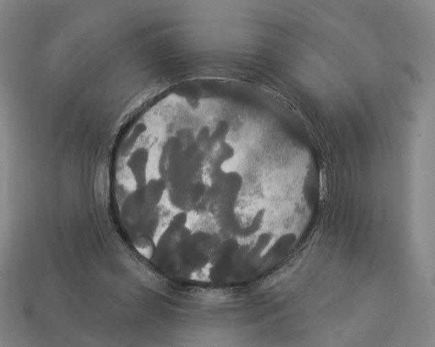 X0000113080349200909250954