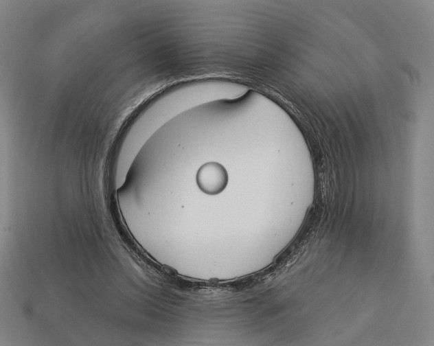 X0000113080350200909250954