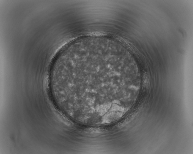 X0000113080351200909250954