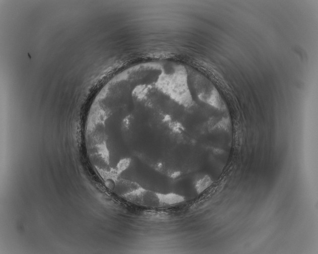 X0000113080354200909250954