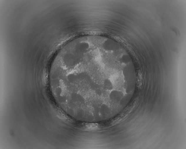 X0000113080355200909250954