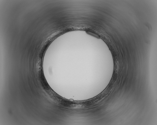 X0000113080356200909250954
