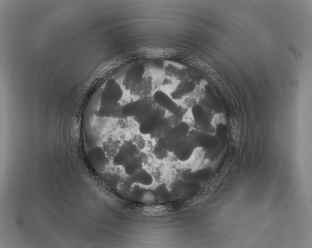 X0000113080357200909250954