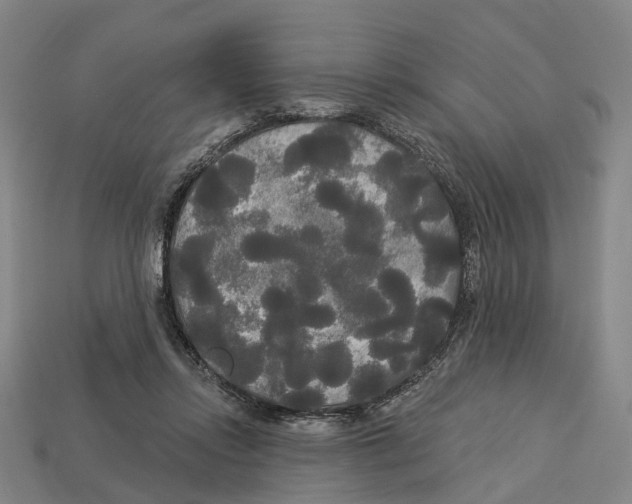 X0000113080358200909250954
