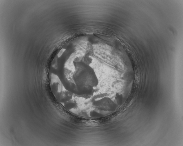 X0000113080359200909250954