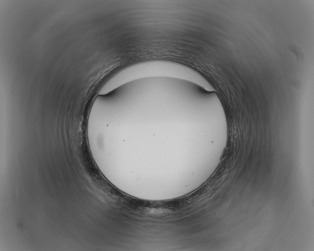 X0000113080360200909250954