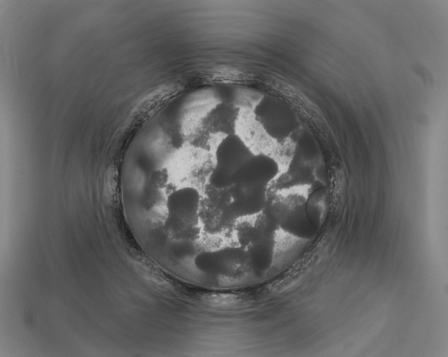 X0000113080361200909250954