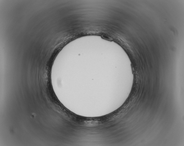 X0000113080362200909250954