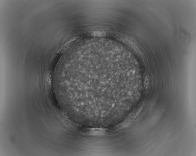 X0000113080363200909250954
