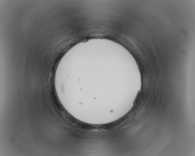 X0000113080364200909250954