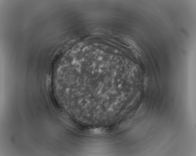 X0000113080365200909250954