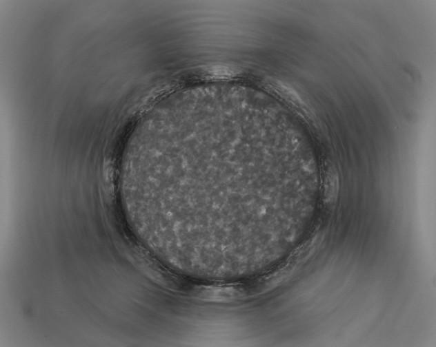 X0000113080366200909250954