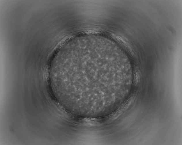 X0000113080367200909250954