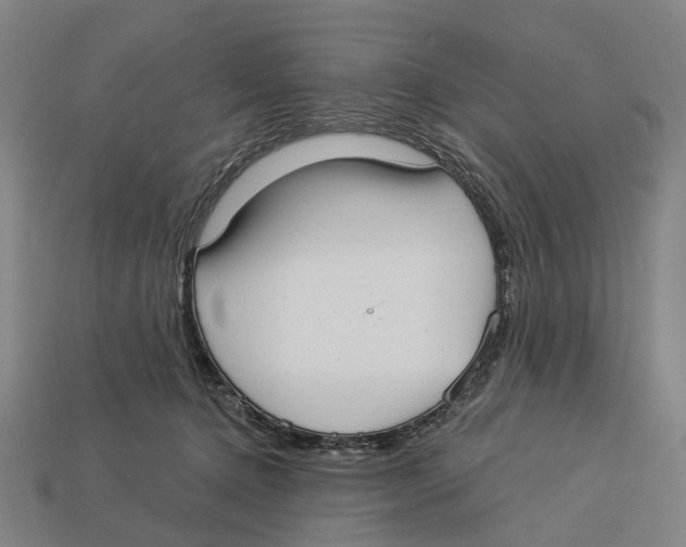 X0000113080368200909250954