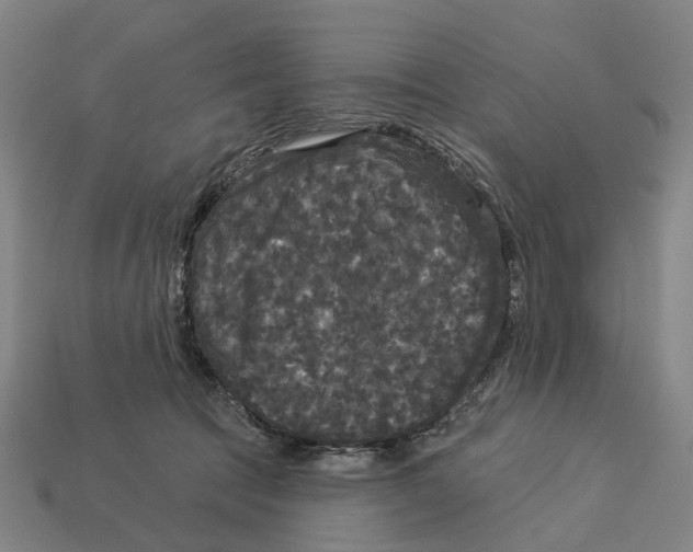 X0000113080369200909250954