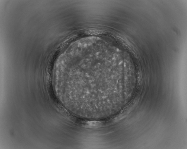 X0000113080371200909250954