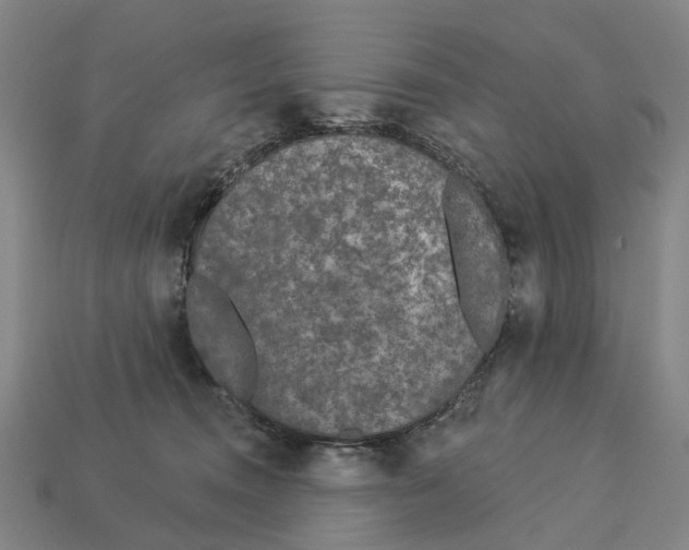 X0000113080372200909250954