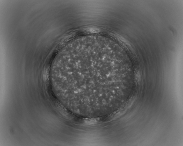 X0000113080373200909250954