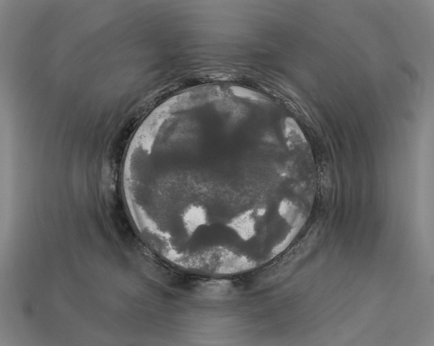 X0000113080374200909250954