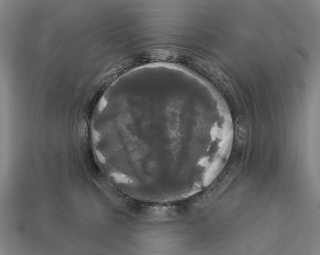 X0000113080375200909250954