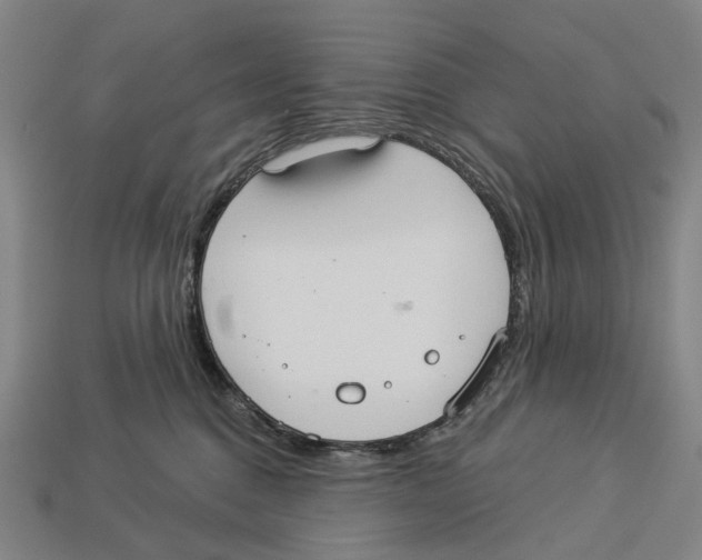 X0000113080376200909250954