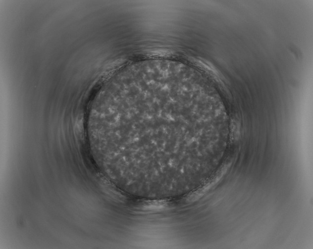 X0000113080377200909250954