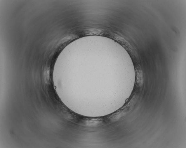 X0000113080378200909250954