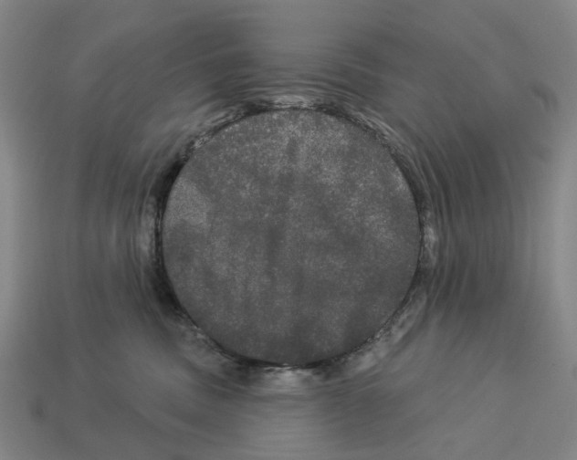 X0000113080379200909250954
