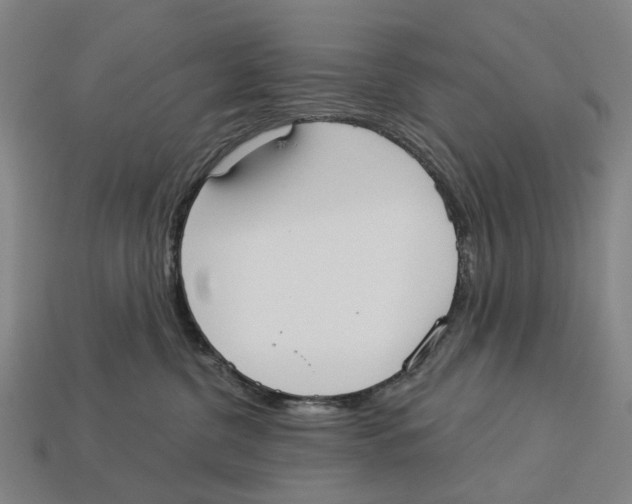 X0000113080380200909250954