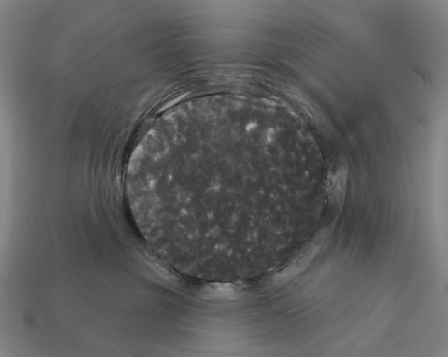 X0000113080381200909250954