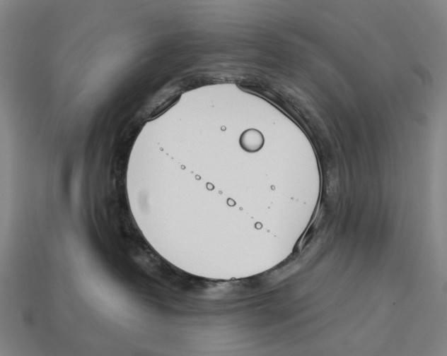 X0000113080382200909250954