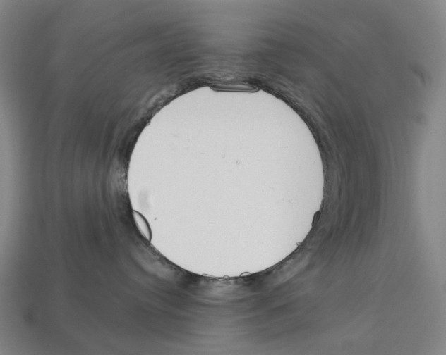 X0000113080384200909250954