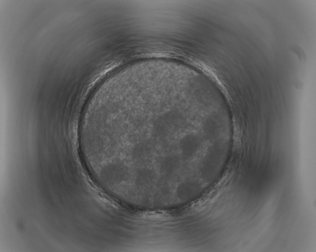 X0000113080386200909250954