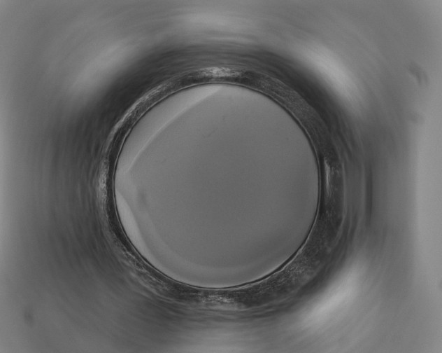 X0000113080387200909250954