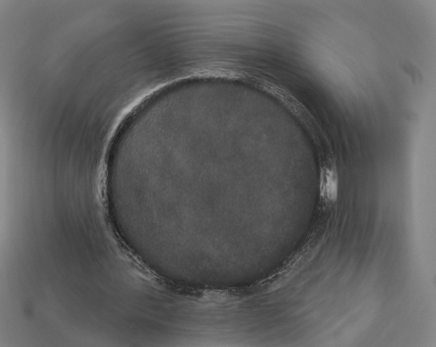 X0000113080388200909250954