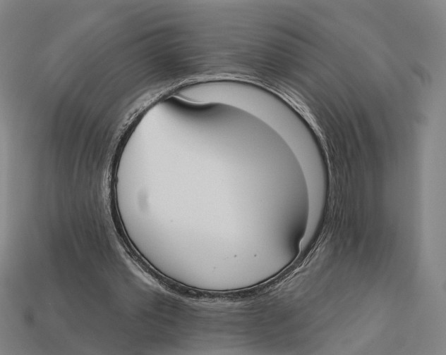 X0000113080389200909250953