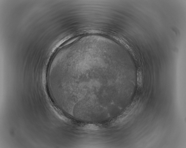 X0000113080390200909250953